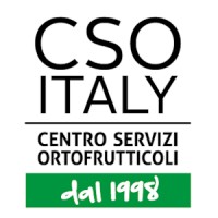 CSO ITALY - Centro Servizi Ortofrutticoli logo, CSO ITALY - Centro Servizi Ortofrutticoli contact details