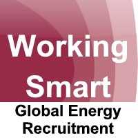 Working Smart Ltd logo, Working Smart Ltd contact details