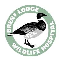 Brent Lodge Wildlife Hospital logo, Brent Lodge Wildlife Hospital contact details