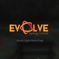 Evolve Synergy Limited logo, Evolve Synergy Limited contact details