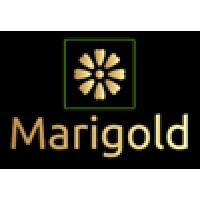 Marigold Consulting Ltd logo, Marigold Consulting Ltd contact details