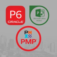 Primavera P6 & MS Project Training and Software Solutions logo, Primavera P6 & MS Project Training and Software Solutions contact details