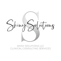 Shiny Solutions LLC logo, Shiny Solutions LLC contact details