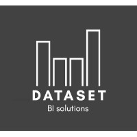 Dataset BI Solutions logo, Dataset BI Solutions contact details