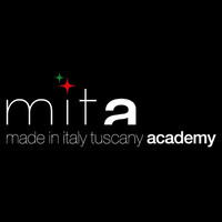 ITS MITA Academy logo, ITS MITA Academy contact details