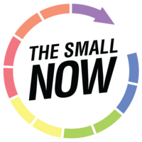 The Small Now Onlus logo, The Small Now Onlus contact details