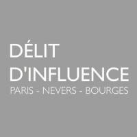 DELIT DINFLUENCE logo, DELIT DINFLUENCE contact details