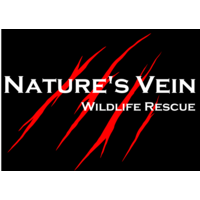 Nature's Vein Wildlife Rescue and Education logo, Nature's Vein Wildlife Rescue and Education contact details