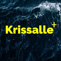 Krissalle • Innovation Consulting & Business Intelligence logo, Krissalle • Innovation Consulting & Business Intelligence contact details