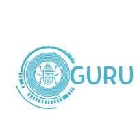 Bugs Guru logo, Bugs Guru contact details