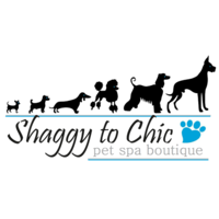 Shaggy to Chic - Pet Spa Boutique logo, Shaggy to Chic - Pet Spa Boutique contact details