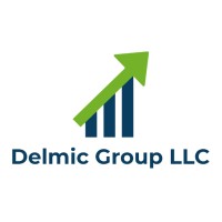 Delmic Group LLC logo, Delmic Group LLC contact details