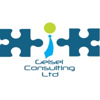 Geisel Consulting Ltd logo, Geisel Consulting Ltd contact details