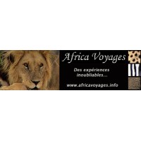 Africa Voyages logo, Africa Voyages contact details