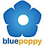 Blue Poppy SEM, LLC logo, Blue Poppy SEM, LLC contact details