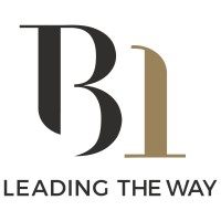 B1 Consultant Ltd logo, B1 Consultant Ltd contact details