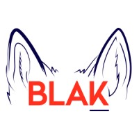 BLAK Agency logo, BLAK Agency contact details