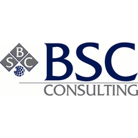 BSC CONSULTING logo, BSC CONSULTING contact details