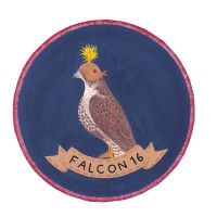 FalconSixteen logo, FalconSixteen contact details