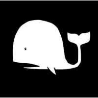 White Whale Consulting logo, White Whale Consulting contact details