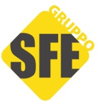 S.F.E. ELETTROIMPIANTI S.R.L. logo, S.F.E. ELETTROIMPIANTI S.R.L. contact details