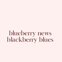 Blueberry News logo, Blueberry News contact details