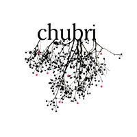 Chubri logo, Chubri contact details