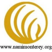 NAMI MONTEREY COUNTY logo, NAMI MONTEREY COUNTY contact details