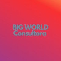 BIG WORLD Consultora logo, BIG WORLD Consultora contact details