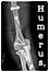 Humerus Llc logo, Humerus Llc contact details