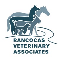 Rancocas Veterinary Associates logo, Rancocas Veterinary Associates contact details