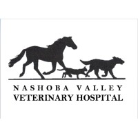 Nashoba Valley Veterinary Hospital logo, Nashoba Valley Veterinary Hospital contact details