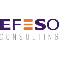 EFESO Nordics logo, EFESO Nordics contact details