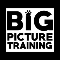 Big Picture Training, LLC logo, Big Picture Training, LLC contact details