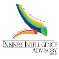 BI Advisory Group logo, BI Advisory Group contact details