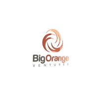 Big Orange Ventures logo, Big Orange Ventures contact details