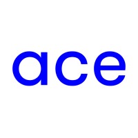 ACE Srl logo, ACE Srl contact details