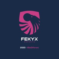 FekyX logo, FekyX contact details