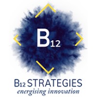 B12 Strategies logo, B12 Strategies contact details