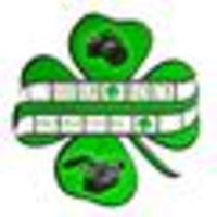 Shamrock Video Productions logo, Shamrock Video Productions contact details