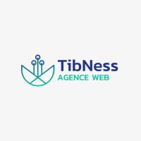 TibNess Agence Web logo, TibNess Agence Web contact details