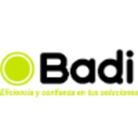 Badi Consultores logo, Badi Consultores contact details