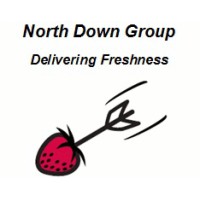 North Down Group logo, North Down Group contact details