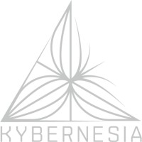 Kybernesia logo, Kybernesia contact details