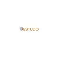 Testudo s.r.l logo, Testudo s.r.l contact details