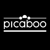 Picaboo Corporation logo, Picaboo Corporation contact details