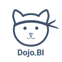 Dojo BI - 360° Data Studio logo, Dojo BI - 360° Data Studio contact details