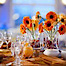 Primovations Catering logo, Primovations Catering contact details