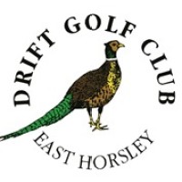 DRIFT GOLF CLUB LIMITED logo, DRIFT GOLF CLUB LIMITED contact details