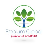 Precium Global logo, Precium Global contact details